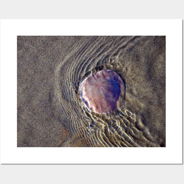 Sand Dollar Ripples - Oregon Coast Wall Art by DeniseBruchmanPhotography